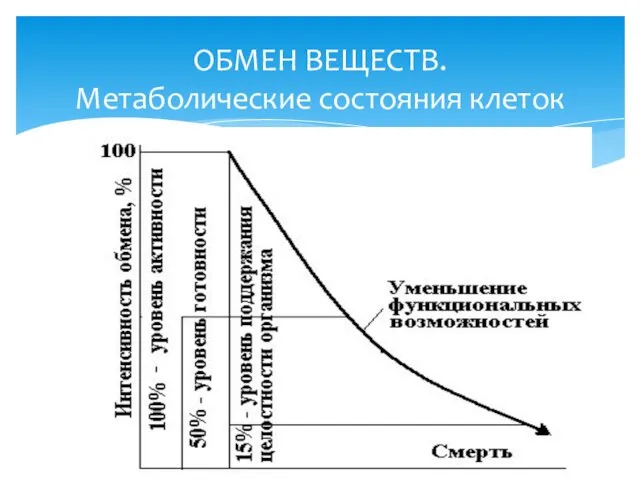 ОБМЕН ВЕЩЕСТВ. Метаболические состояния клеток