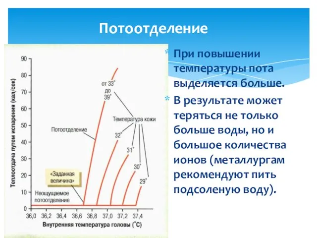 Потоотделение При повышении температуры пота выделяется больше. В результате может теряться