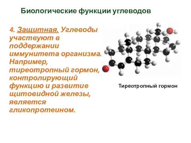 Биологические функции углеводов 4. Защитная. Углеводы участвуют в поддержании иммунитета организма.