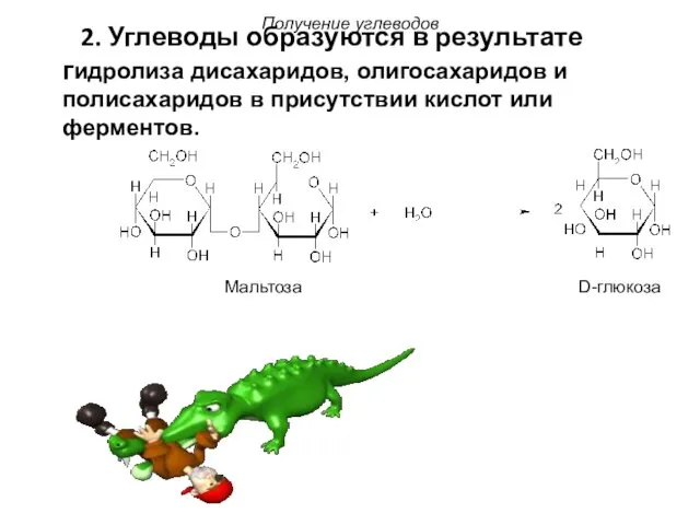 2. Углеводы образуются в результате гидролиза дисахаридов, олигосахаридов и полисахаридов в