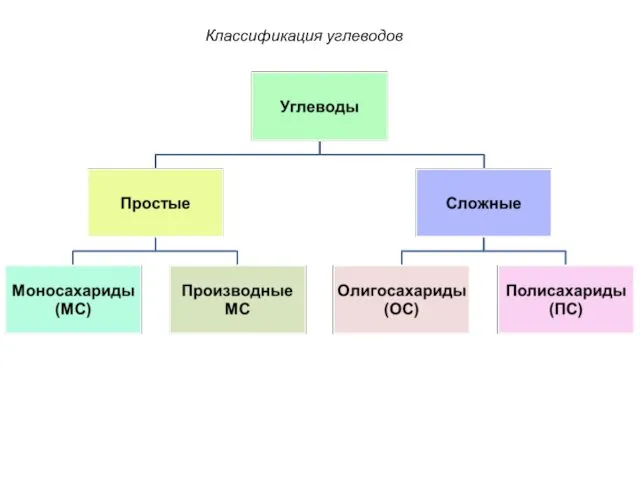 Классификация углеводов