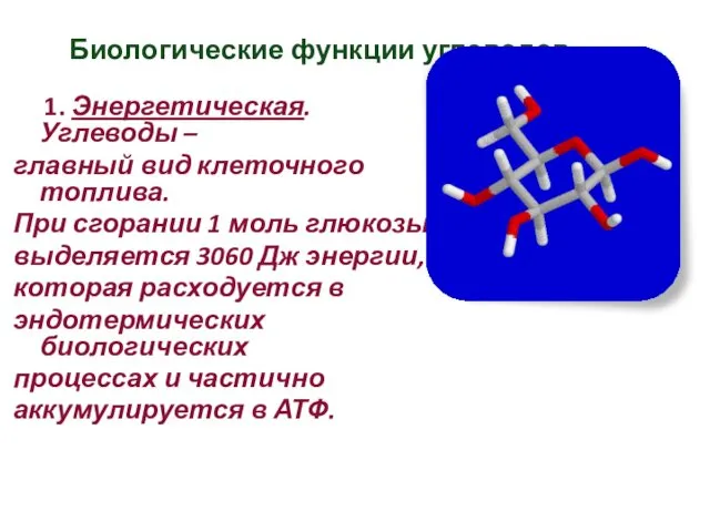 Биологические функции углеводов 1. Энергетическая. Углеводы – главный вид клеточного топлива.