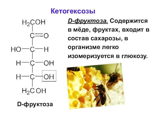 Кетогексозы D-фруктоза. Содержится в мёде, фруктах, входит в состав сахарозы, в