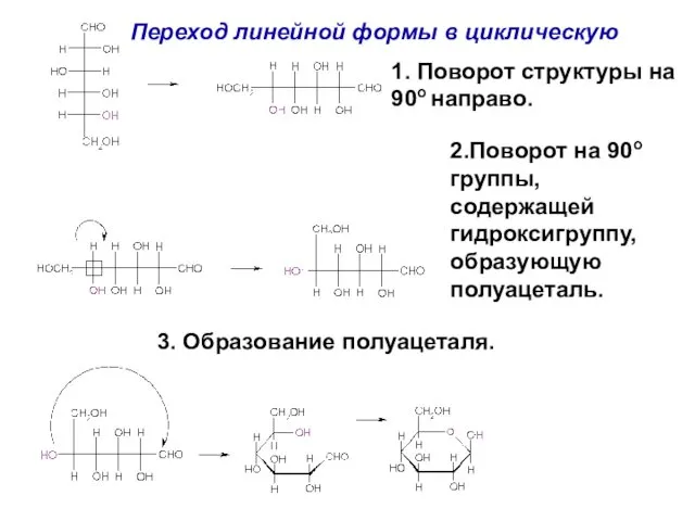 Переход линейной формы в циклическую 1. Поворот структуры на 90o направо.