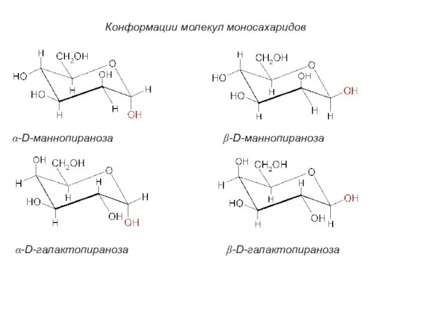 α-D-маннопираноза β-D-маннопираноза α-D-галактопираноза β-D-галактопираноза Конформации молекул моносахаридов