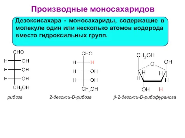 рибоза 2-дезокси-D-рибоза β-2-дезокси-D-рибофураноза Производные моносахаридов Дезоксисахара - моносахариды, содержащие в молекуле