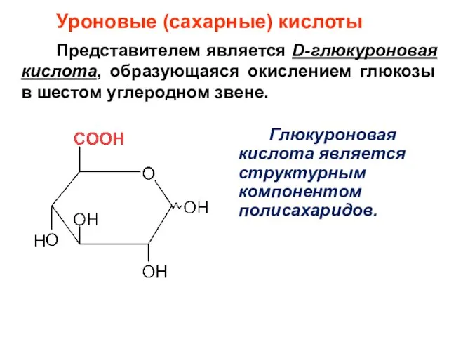 Уроновые (сахарные) кислоты Представителем является D-глюкуроновая кислота, образующаяся окислением глюкозы в