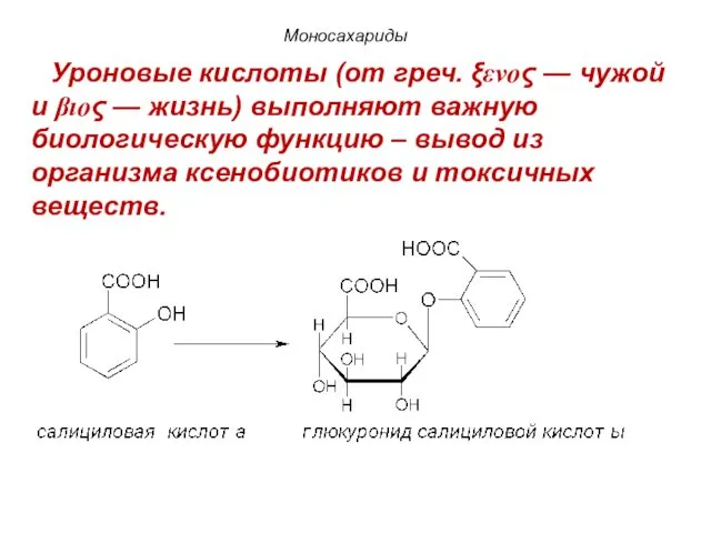 Моносахариды Уроновые кислоты (от греч. ξενος — чужой и βιος —