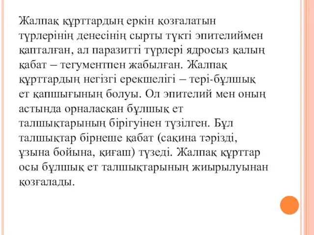 Жалпақ құрттардың еркін қозғалатын түрлерінің денесінің сырты түкті эпителиймен қапталған, ал