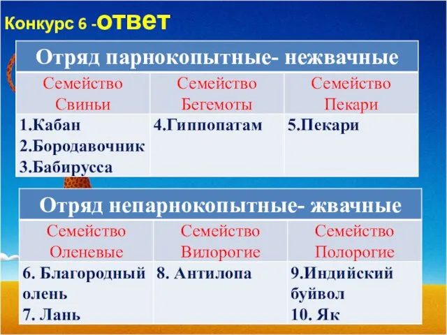 Конкурс 6 -ответ