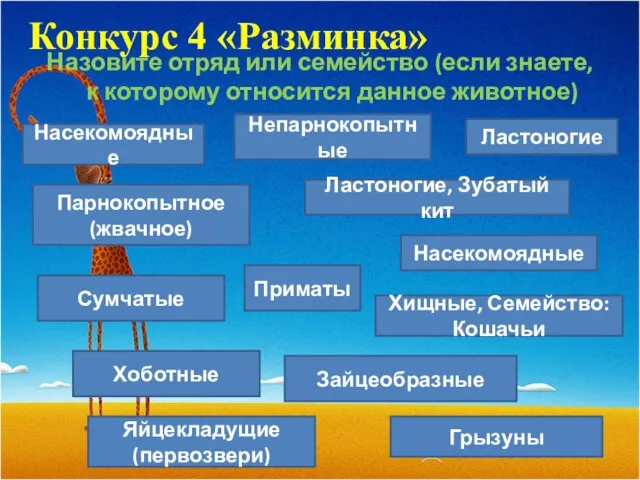 Назовите отряд или семейство (если знаете, к которому относится данное животное)