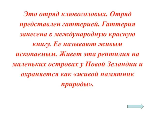 Это отряд клювоголовых. Отряд представлен гаттерией. Гаттерия занесена в международную красную