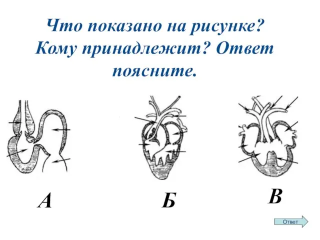 Что показано на рисунке? Кому принадлежит? Ответ поясните. А В Б