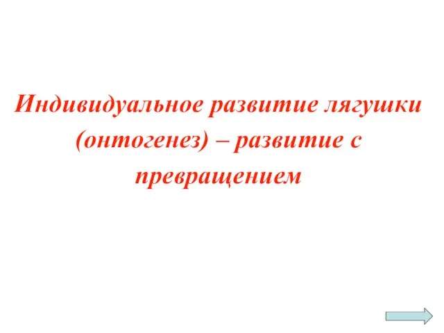 Индивидуальное развитие лягушки (онтогенез) – развитие с превращением