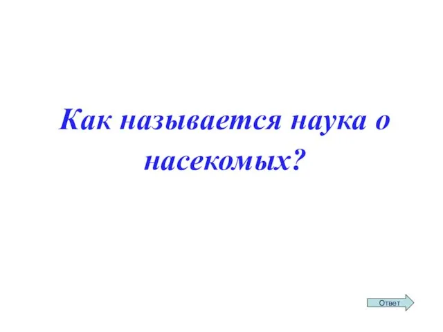 Как называется наука о насекомых?