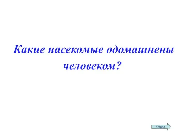 Какие насекомые одомашнены человеком?