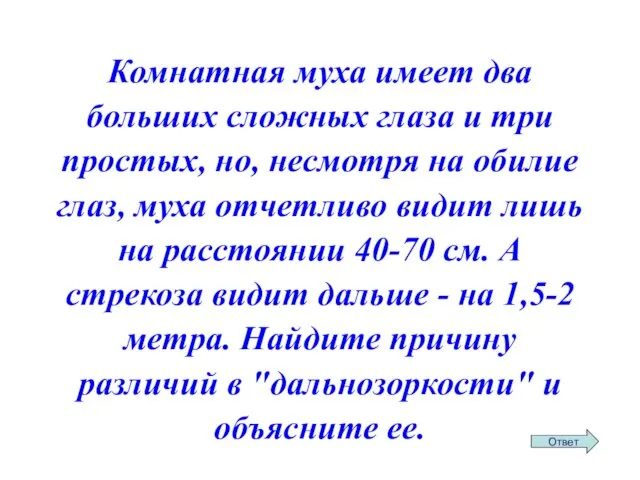 Комнатная муха имеет два больших сложных глаза и три простых, но,