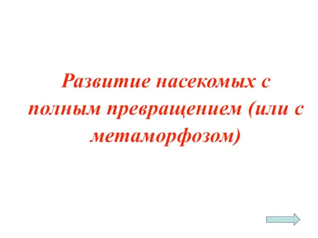 Развитие насекомых с полным превращением (или с метаморфозом)