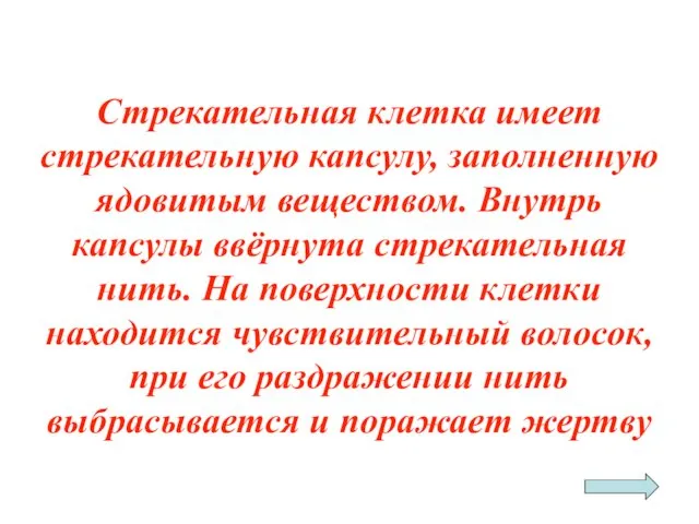 Стрекательная клетка имеет стрекательную капсулу, заполненную ядовитым веществом. Внутрь капсулы ввёрнута