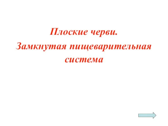 Плоские черви. Замкнутая пищеварительная система