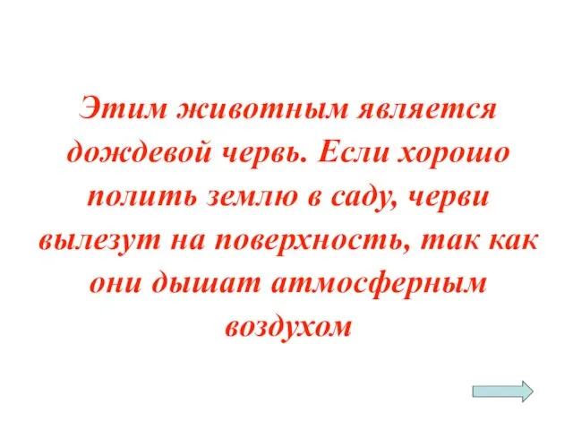 Этим животным является дождевой червь. Если хорошо полить землю в саду,