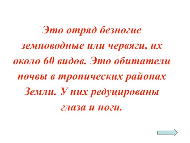 Это отряд безногие земноводные или червяги, их около 60 видов. Это