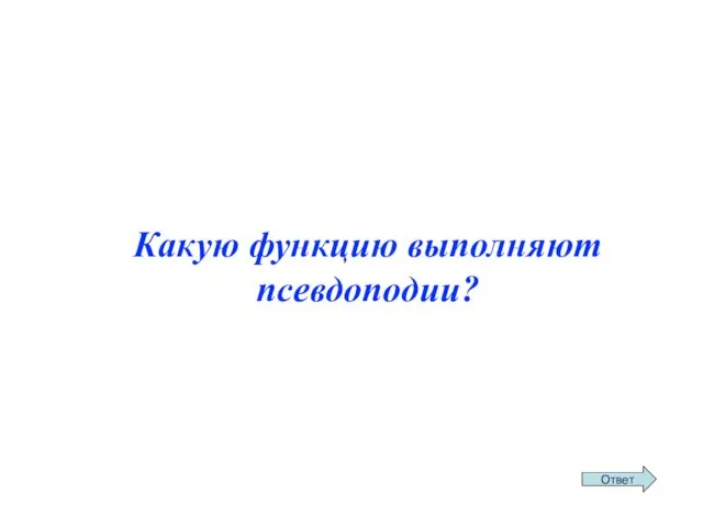 Какую функцию выполняют псевдоподии?