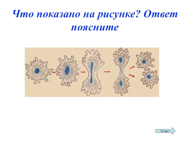 Что показано на рисунке? Ответ поясните