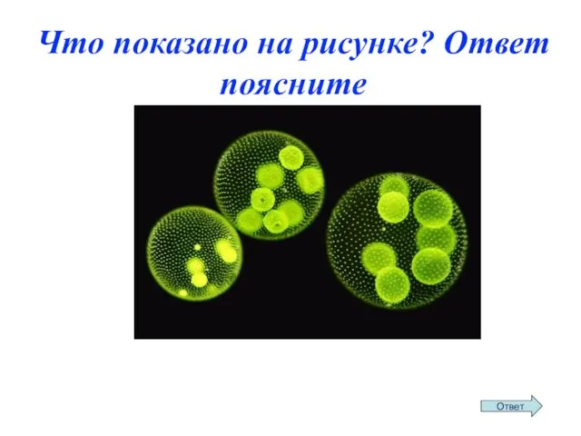 Что показано на рисунке? Ответ поясните