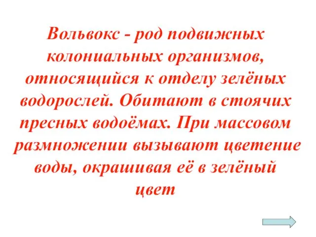 Вольвокс - род подвижных колониальных организмов, относящийся к отделу зелёных водорослей.