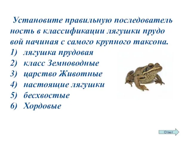 Уста­но­ви­те пра­виль­ную по­сле­до­ва­тель­ность в клас­си­фи­ка­ции ля­гуш­ки пру­до­вой на­чи­ная с са­мо­го круп­но­го