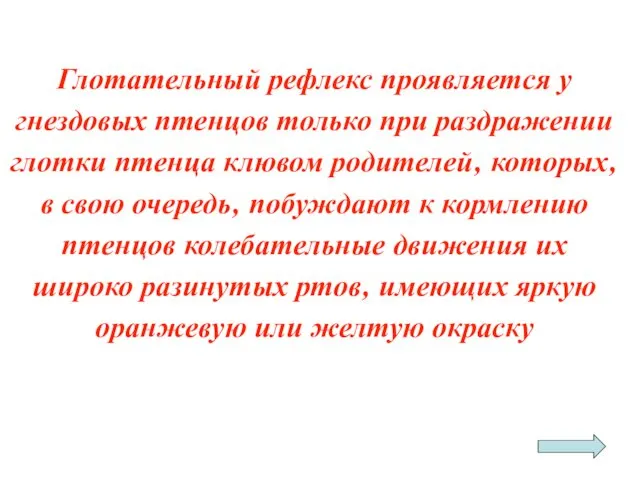 Глотательный рефлекс проявляется у гнездовых птенцов только при раздражении глотки птенца