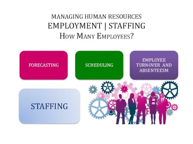 MANAGING HUMAN RESOURCES EMPLOYMENT | STAFFING How Many Employees? STAFFING