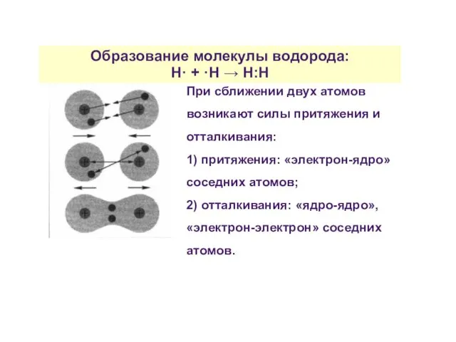 При сближении двух атомов возникают силы притяжения и отталкивания: 1) притяжения: