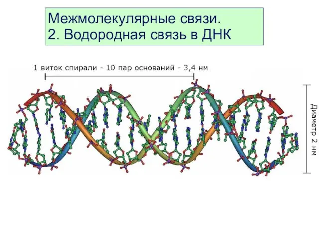 Межмолекулярные связи. 2. Водородная связь в ДНК