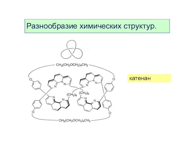 катенан Разнообразие химических структур.