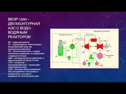 ВВЭР-1000 – ДВУХКОНТУРНАЯ АЭС С ВОДО-ВОДЯНЫМ РЕАКТОРОМ ЯР – ядерный реактор