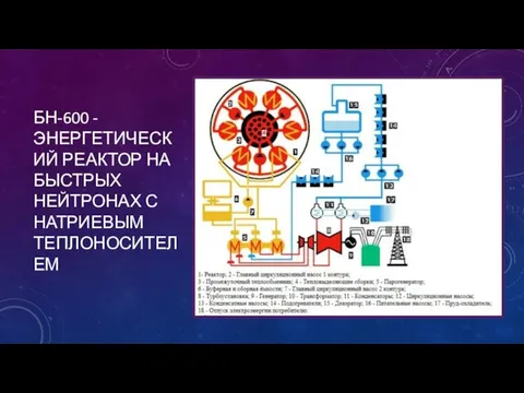 БН-600 - ЭНЕРГЕТИЧЕСКИЙ РЕАКТОР НА БЫСТРЫХ НЕЙТРОНАХ С НАТРИЕВЫМ ТЕПЛОНОСИТЕЛЕМ