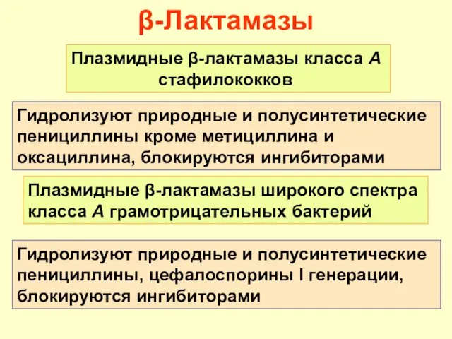 β-Лактамазы Плазмидные β-лактамазы класса А стафилококков Гидролизуют природные и полусинтетические пенициллины