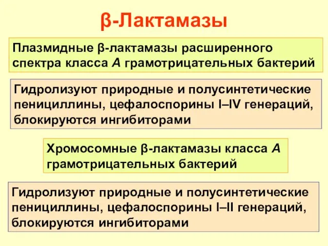 β-Лактамазы Плазмидные β-лактамазы расширенного спектра класса А грамотрицательных бактерий Гидролизуют природные