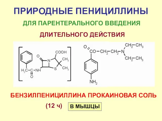 ПРИРОДНЫЕ ПЕНИЦИЛЛИНЫ ДЛЯ ПАРЕНТЕРАЛЬНОГО ВВЕДЕНИЯ ДЛИТЕЛЬНОГО ДЕЙСТВИЯ БЕНЗИЛПЕНИЦИЛЛИНА ПРОКАИНОВАЯ СОЛЬ В МЫШЦЫ (12 ч)