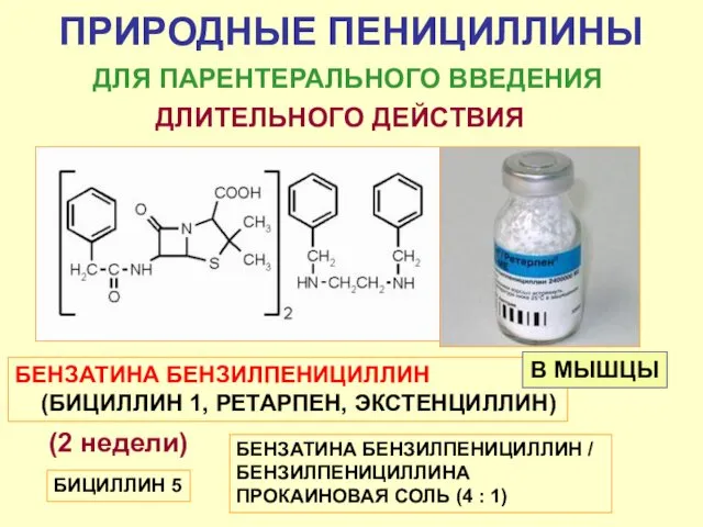 ПРИРОДНЫЕ ПЕНИЦИЛЛИНЫ БЕНЗАТИНА БЕНЗИЛПЕНИЦИЛЛИН (БИЦИЛЛИН 1, РЕТАРПЕН, ЭКСТЕНЦИЛЛИН)