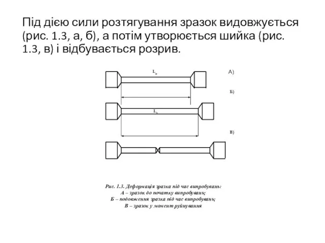 Під дією сили розтягування зразок видовжується (рис. 1.3, а, б), а