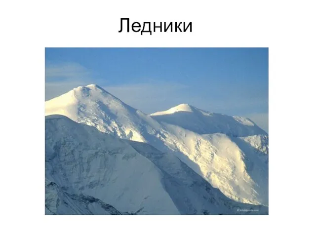 Ледники