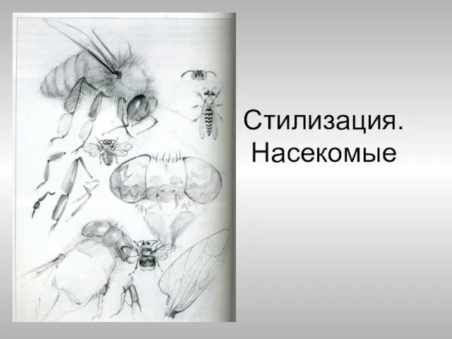 Стилизация. Насекомые