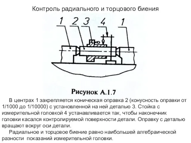 Контроль радиального и торцового биения В центрах 1 закрепляется коническая оправка