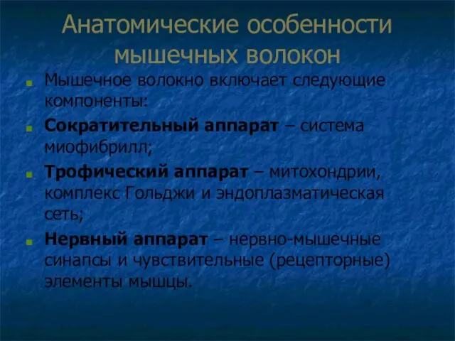 Анатомические особенности мышечных волокон Мышечное волокно включает следующие компоненты: Сократительный аппарат