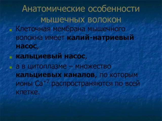 Анатомические особенности мышечных волокон Клеточная мембрана мышечного волокна имеет калий-натриевый насос,