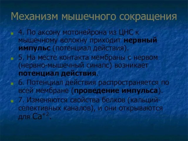 Механизм мышечного сокращения 4. По аксону мотонейрона из ЦНС к мышечному