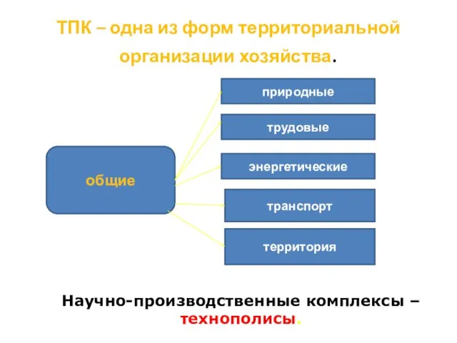 ТПК – одна из форм территориальной организации хозяйства. общие природные трудовые